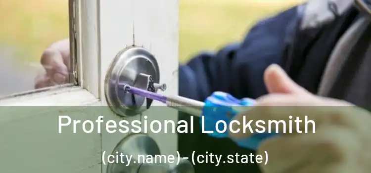 Professional Locksmith (city.name) - (city.state)